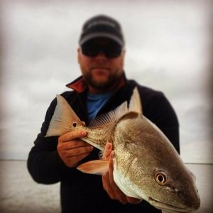 Meet your Posher, Chad